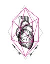 Illustration anatomical heart Royalty Free Stock Photo
