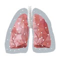 Illustration of anatomical polygonal human lungs