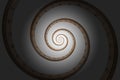 Illustration of an ancient greek spiral on the grey background made in Denver, Colorado, USA