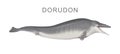 Illustration of the ancient whale Dorudon Royalty Free Stock Photo