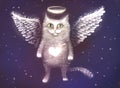 Illustration of an angel cat with wings on the background of the starry sky