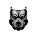 Illustration of angry pitbull head. Design element for logo, label, sign, emblem, poster.