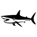 Illustration of angry shark in drawing stencil style.