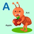 Illustration Animal Alphabet Letter A-Ant,Apple