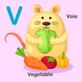 Illustration Animal Alphabet Letter V-Vole,Vegetable