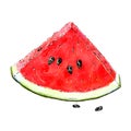 Illustration of appetizing and juicy slice of watermelon isolated on white background. Taste of summer and freshness.