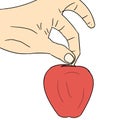 illustration of an apple being held