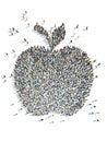 Illustration of apple Royalty Free Stock Photo