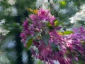 Illustration of apple tree twigs with red and white flowers obtained by extrusion photo. Textured spring background