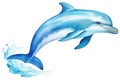 Mammal wildlife nature sea wild aquatic dolphin ocean water animal marine blue illustration Royalty Free Stock Photo