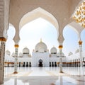 Illustration of architecture of the Islamic mosque in Abu Dhabi.