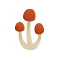 Flat vector icon of armillaria mellea or honey fungus. Edible forest mushrooms with brown caps and long stalks
