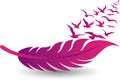Pink feather and birds fly logo