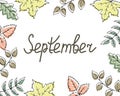 illustration, autumn background of drawn leaves in pastel shades and lettering September