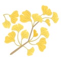 Illustration of autumn leaves ginkgo branches and leaves