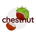 Illustration of autumn nuts and text Chestnut. Closed and open chestnut