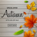 Autumn sale banner with fall leaves on wooden background