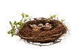 Illustration of a Baby Bird Nest with Chick on Transparent Background, Generative AI Royalty Free Stock Photo