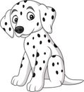 Baby dalmatian dog breed