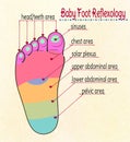 Illustration baby's feet reflex zones