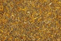 Illustration of background of dry herb CALENDULAE FLORES or Marigold petals used in herbal medicine. The concept of herbal