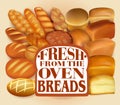 Illustration background set of different fresh bread fresh from the oven