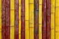 Bamboo wall texture background, yellow and red bamboo wall background Royalty Free Stock Photo