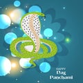 Happy Nag Panchami.