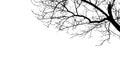 Illustration bare tree silhouettes on white background