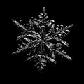 Real snowflake isolated on white background