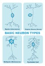 illustration of basic neuron types