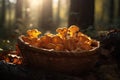 Illustration of a basket with fresh chanterelle mushrooms in the autumn forest Royalty Free Stock Photo