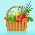 basket with vegetables tomatoes, cucumbers, cabbage and onions