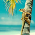 illustration of a beach with a coconut tree and the sea.lizard on a coconut tree, series of snicks Royalty Free Stock Photo