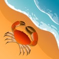 The illustration on a beach theme. Summer vacation by the sea. The crab on the sand. Sea surf . Royalty Free Stock Photo