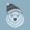 Illustration of bear hipster in knitted hat with