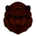 Illustration of a bear s head. Vector graphics. Hand drawing