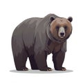 Illustration of a bear with stylized features, showcasing a robust body and dense fur. Royalty Free Stock Photo