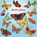 illustration of beautiful butterflies set of spring Royalty Free Stock Photo