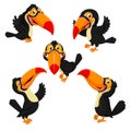 The beautiful collection of orange beak toucan with the different posing