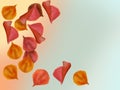 Illustration of beautiful colorful autumn leaves falling from the tree