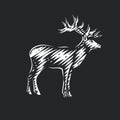 Illustration of beautiful deer