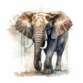 An illustration of a beautiful elephant