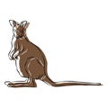 Illustration : Beautiful kangaroo image.