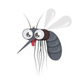 Illustration beautiful mosquito on white background. Vector of character flying insects in cartoon style Royalty Free Stock Photo