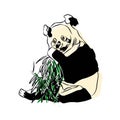 Illustration:Beautiful panda shots, used in general applications