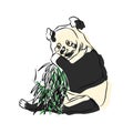 Illustration:Beautiful panda shots, used in general applications