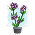 Illustration of Beautiful Purple Flower in Flower Pot, Flat Design