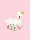 Illustration of Beautiful Swan with place for Baby Name for Poster Print, Baby Greetings, Invitation, Children Flyer