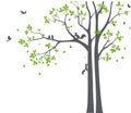 Beautiful tree branch with birds silhouette background for wallpaper sticker Royalty Free Stock Photo